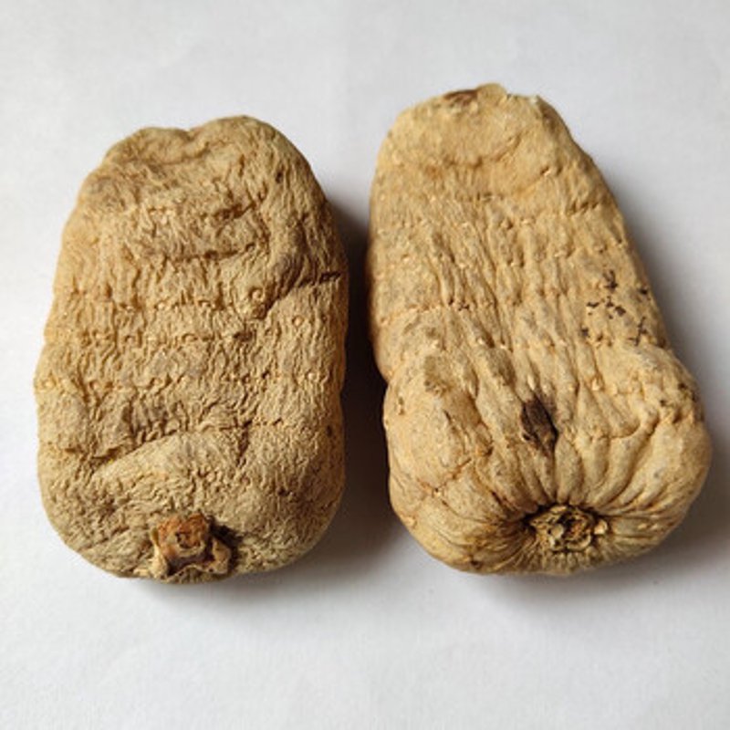 乌天麻种植新趋势:有机与传统对比评测